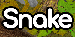 Snake for PlayStation 1